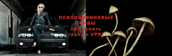 прущая мука Богородск