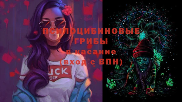 прущая мука Богородск