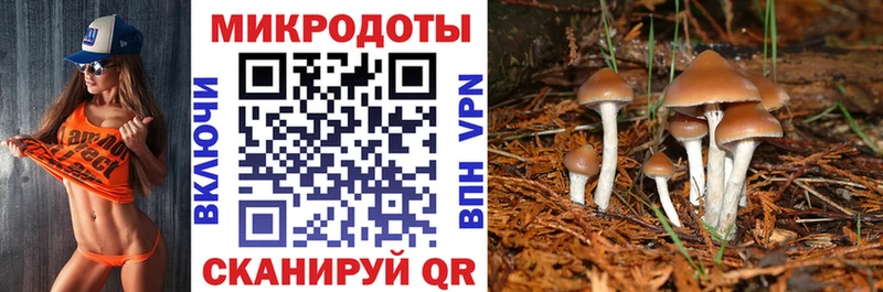 OMG как зайти  Наро-Фоминск  Псилоцибиновые грибы Psilocybine cubensis  купить наркотик 